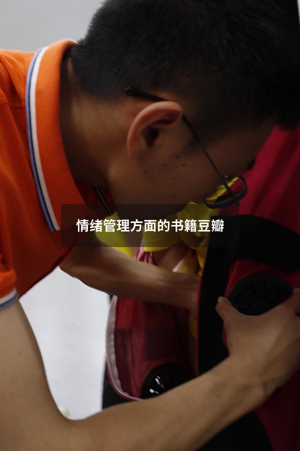 情绪管理方面的书籍 豆瓣